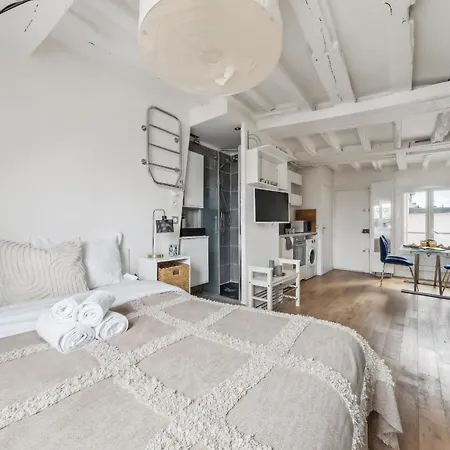 Le Louvre & Notre-dame - Cityapartmentstay *